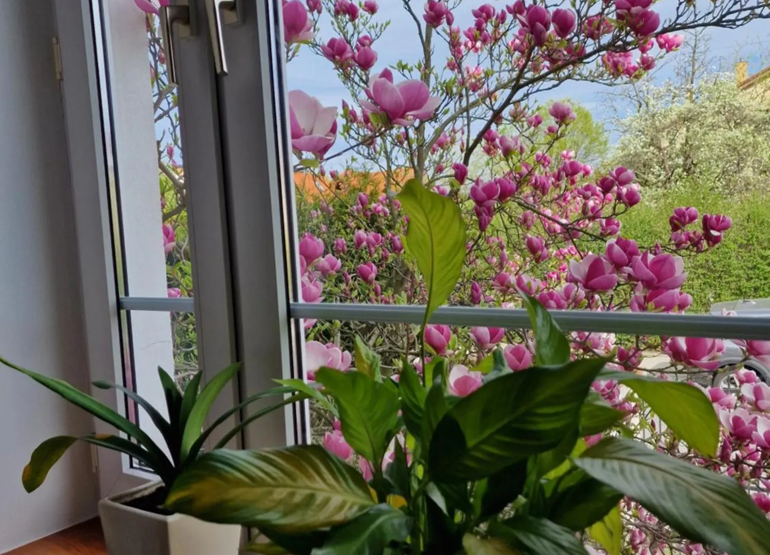 Apartament Magnolia Apartment Sopot